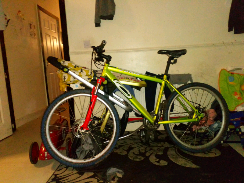 carrera zelos mountain bike